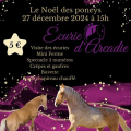 Le Noël des poneys de l'Ecurie d'Arcadie à Maray