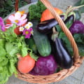 Marché hebdomadaire de Lamotte-Beuvron