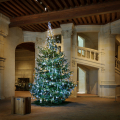 Noël à Chambord - Spectacle 'Le Prince et le Bossu' 