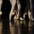 Les Étoiles de la Danse au Domaine National de Chambord